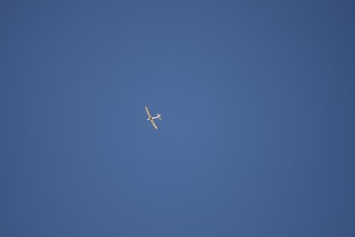 ?????????????